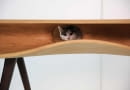 stół dla kota, mebel dla kota, koci mebel, nowoczesny stół
