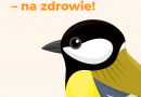 Ponad połowa Polaków dokarmia ptaki. Kampania “Dokarmiamy. Na zdrowie!” edukuje, jak robić to właściwie