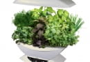 Nowoczesne herbarium AeroGarden. Po podłączeniu do prądu samo informuje nas, kiedy i jak trzeba zioła podlewać i nawozić. Nad ich uprawą czuwa bowiem mikroprocesor. Cena: ok. 680 zł, Toys4Boys