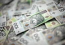 21.01.2011 WARSZAWA , BANKNOTY STUZLOTOWE . FOT. FRANCISZEK MAZUR / AGENCJA GAZETA SLOWA KLUCZOWE: PIENIADZE PLN BANKNOT BANKNOTY FINANSE KASA FORSA FORTUNA STO ZLOTYCH PIENIADZ BOGACTWO POLSKI NOWY ZLOTY STOCKOWE