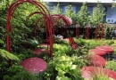 25.05.2011 LONDYN CHELSEA FLOWER SHOW NA ZDJECIU OGROD POKAZOWY ALEJKA , SCIEZKA , OCZKO WODNE DLA CZASOPISMA FOT. ARKADIUSZ SCICHOCKI / AGENCJA GAZETA SLOWA KLUCZOWE: OGROD