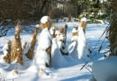 13.02.2003 WARSZAWA OGROD BOTANICZNY UNIWERSYTETU WARSZAWSKIEGO ALEJE UJAZDOWSKIE OKRYWANIE ROSLIN SLOMA CHOCHOL ZIMA SNIEGFOT. PAWEL SLOMCZYNSKI / AGENCJA GAZETAPUBLIKACJA KWIETNIK NR 1 (133) - 1.2006PUBLIKACJA LADNY DOM NUMER SPECJALNY - OGROD 1/2011 - 4 2011