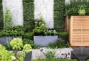 Contemporary courtyard garden with raised vegetable beds and a living wall of Pratia pedunculata SLOWA KLUCZOWE: Beete Beh lter Bepflanzung Blumen Buxus Garten Gem´se Gew´rzpflanzen Hof Kies Kr uter Metall Pl tze Stadt Vierecke anpflanzen bepflanzen beschnitten bl´hend einpflanzen Schotter urban vertikal <bert^pfe Querformat
