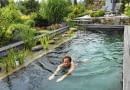 Schwimmteich/ Swimmingpool mit Filterzone und Terrasse im Hintergrund und schwimmender m nnlicher Person. SLOWA KLUCZOWE: Bockholt Deutschland Filterzone Fitnessgarten FocusOnGarden Garten Gartenebene Gartenfeature Gartenreportage Gartenreportage Bockholt gartenteich Hausgarten J´rgen Becker Leute Mann Mensch modern Moderner Garten People pflegeleichter Garten pool Schwimmteich Schwimmteich mit Filterzone Sommer swimming pool wasser Wassergarten Ziergarten Querformat