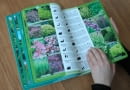 Katalog roślin