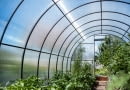Na co zwrócić uwagę, kupując szklarnię ogrodową?