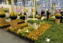 Targi Gardenia 2012