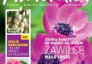 Okładka miesięcznika Kwietnik 03/2012