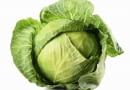 kapusta biała