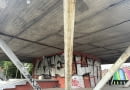 Trzonolinowiec we Wrocławiu - czerwiec 2026