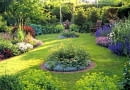 Small country garden with circular island beds and wooden seat