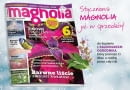 Magazyn Magnolia