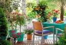Winter garden room with Citrus limon, Pelargonium, Tibouchina and Phoenix roebelenii