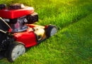 Jak pielęgnować trawnik latem?
