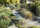 The Dry Garden in spring at RHS Garden Hyde Hall.