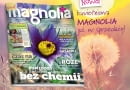 Magazyn magnolia