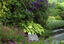 Quiet corner of patio, a stone seat sheltered by screen covered in ivy, Clematis 'Polish Spirit' and 'Prince Charles' SLOWA KLUCZOWE: Ausblick Aussicht Beet Clematis Garten Klematis Krautig Land Leinwand Patio Perennial Pflanze Sitz Sitzplatz Sommer Staude Stein Waldrebe abgelegen bl´hend bunt b uerlich gesch´tzt klettern leise l ndlich ruhig still vista Nicola Stocken Tomkins quadratisch