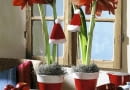 Amaryllist^pfe mit Weihnachtsdeko SLOWA KLUCZOWE: Advent Amaryllis Blume Blumen Dekoration Feiertage Fenster Florales Geschirr Hippeastrum M´tze Niemand Pflanze Pflanzen Tablett Topfblume Topfblumen Topfpflanze Topfpflanzen Weihnachten Weihnachtsdekoration Weihnachtsmannm´tze Weihnachtspflanzen Weihnachtsschmuck Zimmerpflanze Zimmerpflanzen adventlich floral weihnachtlich <bertopf <bert^pfe Hochformat