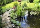 SLOWA KLUCZOWE: teich gartenteich garten beet iris blumen natur see seerosen wasser fische stauden rabatte blätter frisch sommer frühling bunt gärtner gärtnerei hobby freizeit urlaub zuhause bepflanzung pflanzen holz bretter steg gartenarbeit gelb