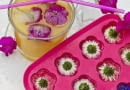 Eiswürfelschalen mit eingefrorenen Blüten SLOWA KLUCZOWE: Bellis perennis Blume Dekoration Drink Eis Eiswürfel Essen Essen und Trinken Fest floral Florales Food Gänseblume Garten Gastlichkeit Sommer Sommerdrink Sommerfest sommerlich Sommertisch Tageslicht Tausendschönchen Tisch weiß *** Local Caption *** 00617555