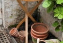 Wooden Table with Cut Flowers and Garden String with Terracotta Plant Pots and Geranium Foliage (Pelargonium)