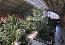 Dworzec kolejowy Atocha w Madrycie.