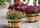 SLOWA KLUCZOWE: efterAYr autumn hAst herbst inspiration anregungen fd55 aster novi-belgii heuchera rosa pink