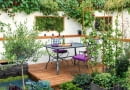 Small Garden SLOWA KLUCZOWE: show rhs