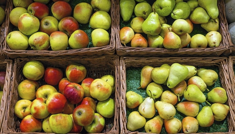 Do dłużeszego przechowywania wybieramy tylko owoce bez uszkodzeń i bez objawów chorób