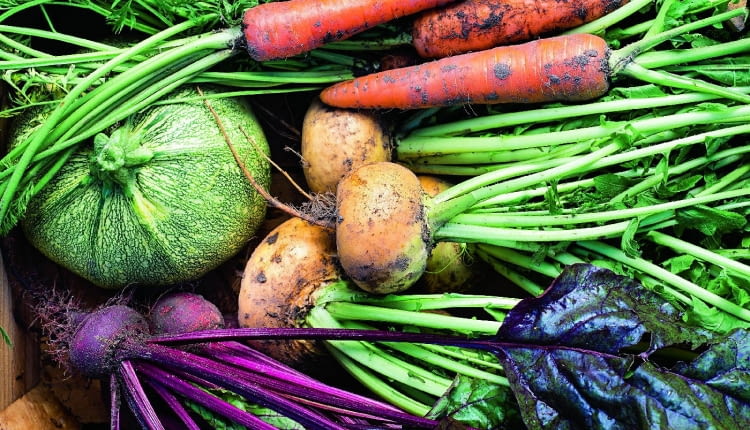 Morinka shutterstock