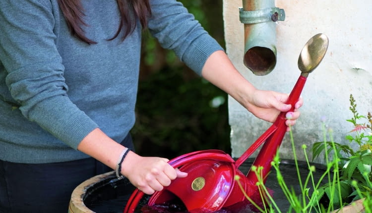 OFrau schpft Wasser aus WasserfassGiekanne : Garpa Tel. 0 41 52 / 92 52 00