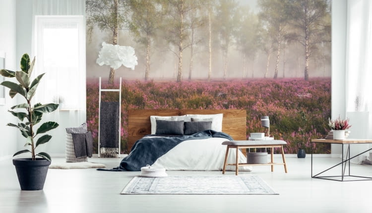 Fototapeta przedstawiająca wrzosowisko to idealny wybór do sypialni. Ten widok ukołysze cię do snu.