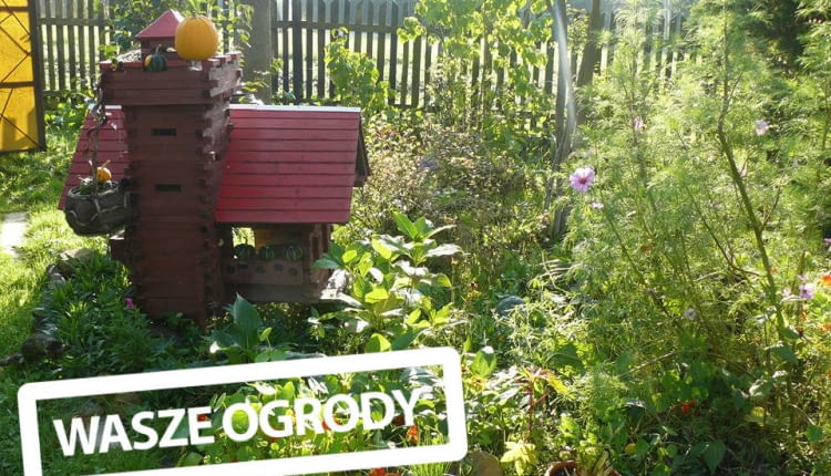 Ogród piękny o każdej porze.