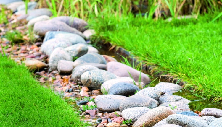 w zagłębieniu terenu położono czarną agrowłókninę i usypano na niej kamienie. Taką 'rynną' nadmiar wody spływa z trawnika.