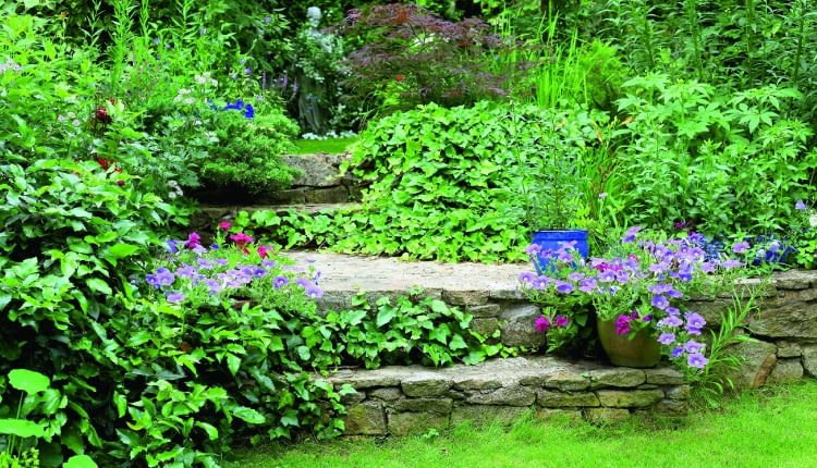 Kamienne murki wraz z posadzonymi na podwyższeniu roślinami tworzą ekran osłaniający ogród.