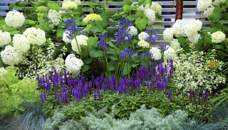 10.07.2008 LONDYN HAMPTON COURD PALACE WYSTAWA KWIATOW I OGRODOW FLOWER SHOW 2008 FOT. ARKADIUSZ SCICHOCKI / AGENCJA GAZETA