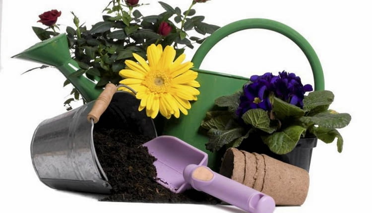 Konkurs "Zrób to sam w ogrodzie"