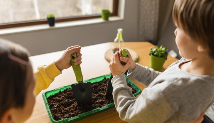 Jesienno-zimowe uprawy w domu – jak wspólne sianie warzyw może budować zdrowe nawyki u dzieci?