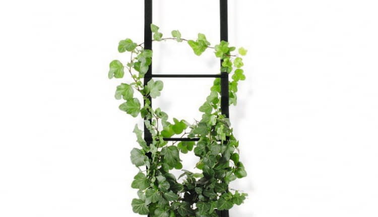 1.wisząca donica, poliester, śr. 20 cm, 320 zł, czerwonamaszyna.pl