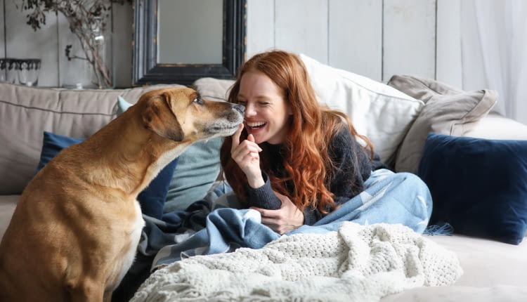 Pozbądź się nadmiaru sierści zwierząt z domu. Te akcesoria ci w tym pomogą