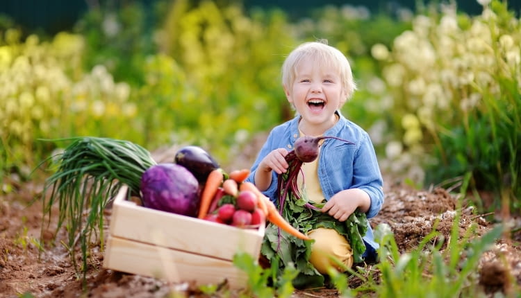 Co siać z dziećmi wczesną wiosną?