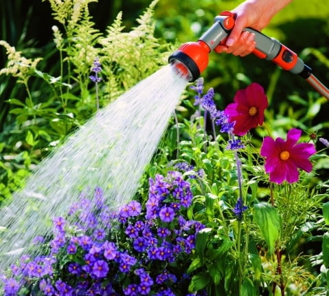 Nie ma to jak chłodny, życiodajny prysznic po suchym, upalnym dniu. Może to nam zapewnić pomocna dłoń sąsiada, firma ogrodnicza lub wielofunkcyjny sterownik do nawadniania ogrodu.