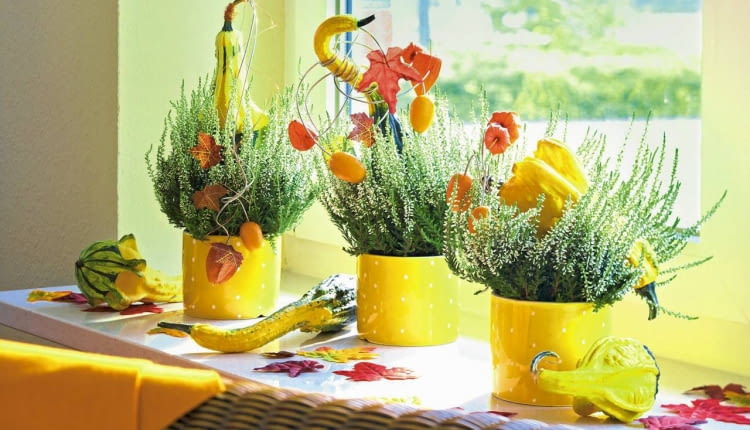 Jesienny parapet, a na nim wesoła rytmiczna kompozycja z kwitnących wrzosów , dyni ozdobnej, owoców kumkwatu i miechunki.