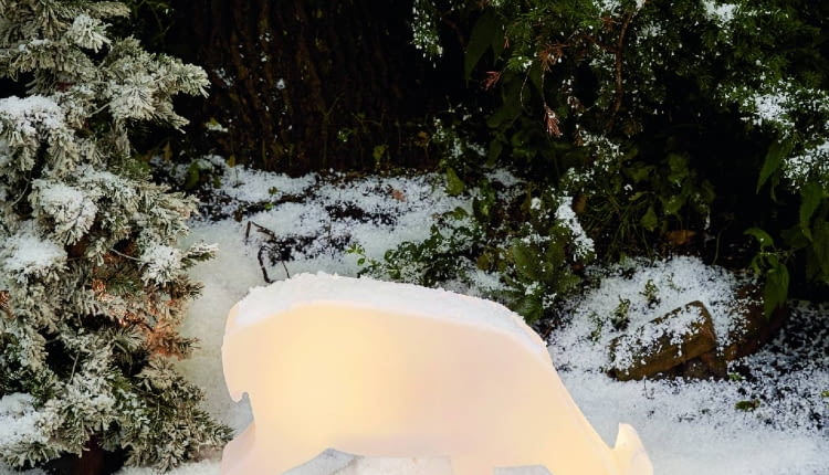 Jelonek solarny z 5 diodami LED, torzywo sztuczne, 57×55×15 cm, ok. 90 zł, Tchibo.