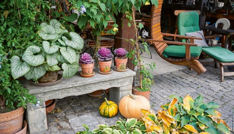 Taras zdobią rośliny w donicach (brunnery, ołowniki, zaślaz). Widzimy tu również zabytkową ławeczkę z piaskowca.