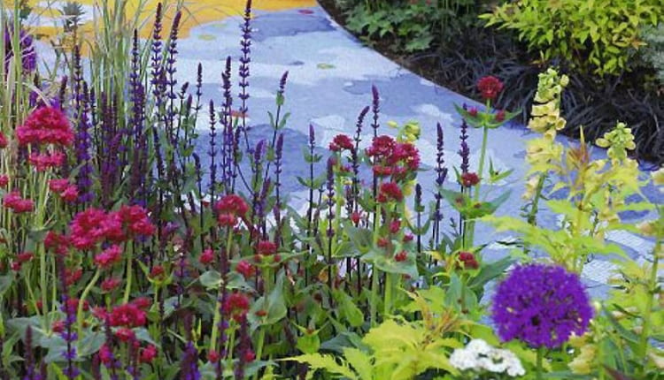 OGROD , KOLOR W OGRODZIE , KOLOROWA SCIEZKA WSPOLGRA Z KOLORAMI KWIATOW NA RABATACH FOT. LILIANNA SOKOLOWSKA PUBLIKACJA OGRODY NUMER SPECJALNY 1/2011 - 50 SPOSOBOW NA PIEKNY OGROD - 5 2011 SLOWA KLUCZOWE: OGROD RABATA NAWIERZCHNIA ROSLINA KWIAT ZDJĘCIE DO WKŁADKI: PUBLIKACJA OGRODY NUMER SPECJALNY 1/2011 - 50 SPOSOBOW NA PIEKNY OGROD - CZASOPISMA