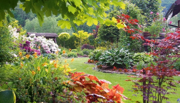 Zawsze kochałam przyrodę, ale dopiero w 'pewnym wieku' uświadomiłam sobie, jak bardzo jest dla mnie ważna. Dzisiaj nie wyobrażam sobie życia bez mojego 'Ogrodu pod lasem'. Uczę się i zdobywam ogrodniczą wiedzę, którą chętnie dzielę się na swoim blogu.