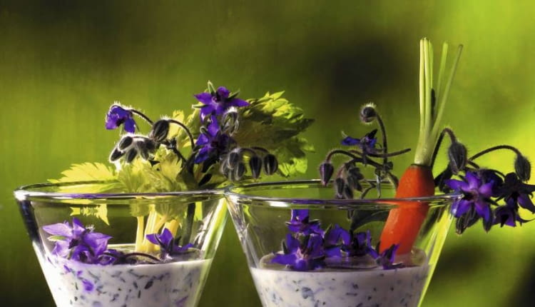 Drink z ziela ogórecznika