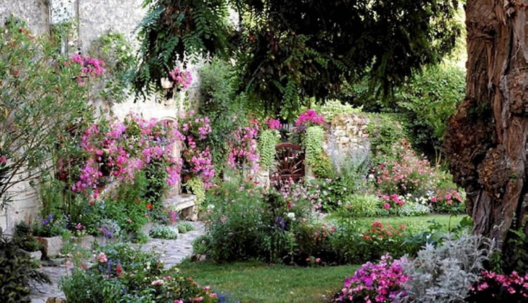 Różowe kwiaty wprowadzają nutkę romantyzmu do ogrodu