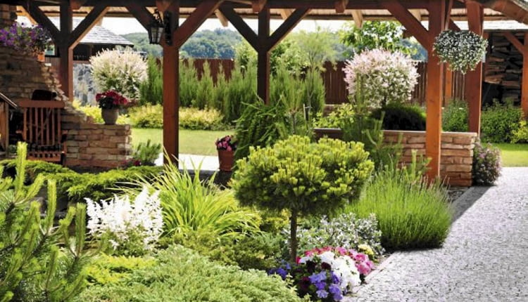 SLOWA KLUCZOWE: mazury ogrody kuczynscy